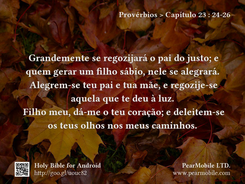 Provérbios, Capítulo 23:24-26